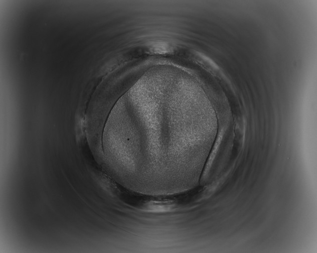 X0000087520556200705251641