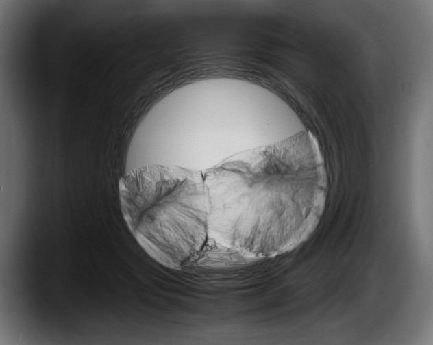 X0000087520557200705251641