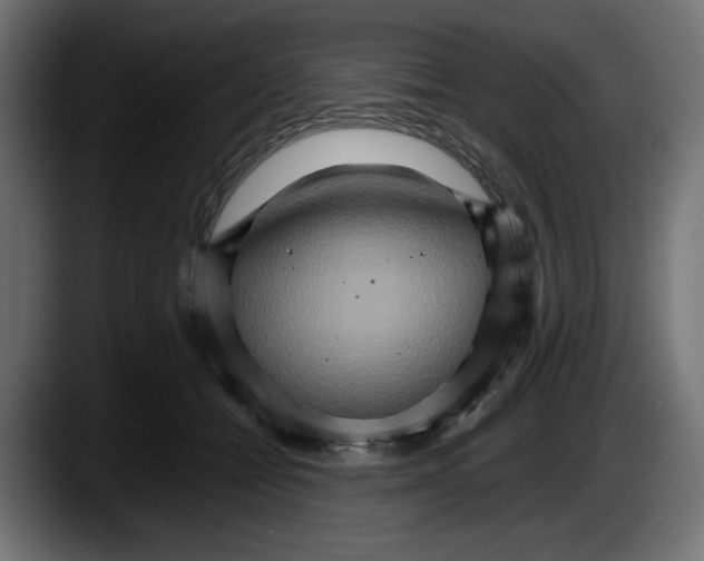 X0000087520558200705251641