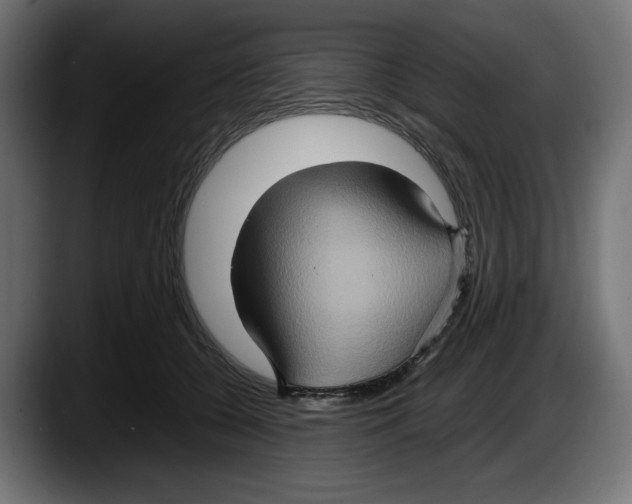 X0000087520560200705251641