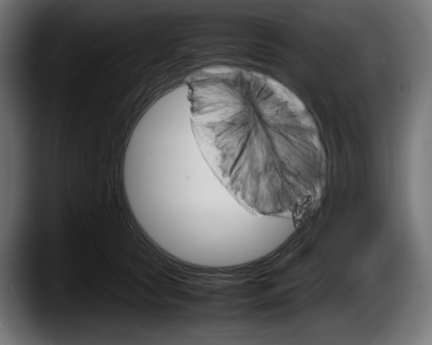 X0000087520561200705251641