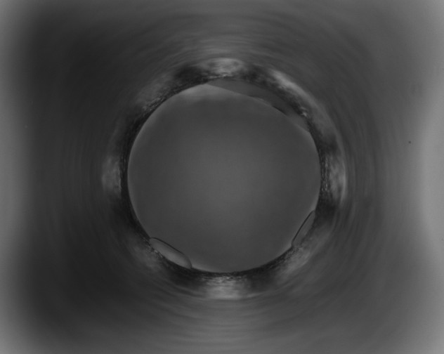 X0000087520562200705251641