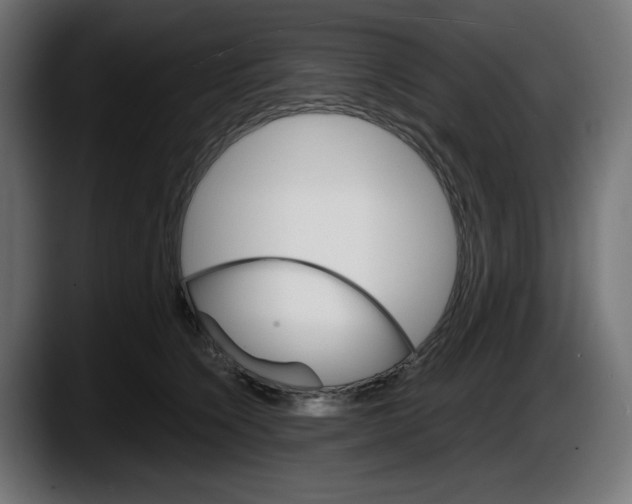 X0000087520564200705251641