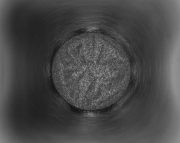 X0000087520565200705251641