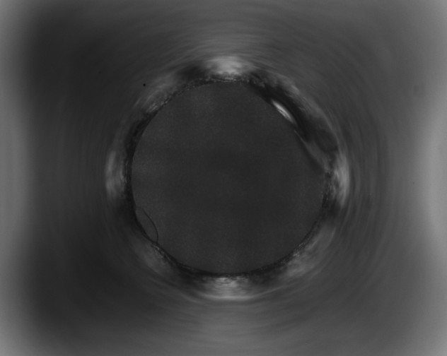 X0000087520566200705251641