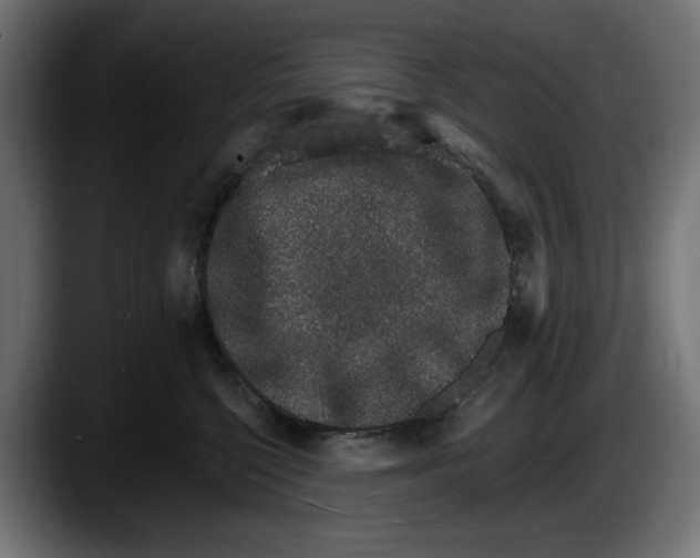 X0000087520568200705251641