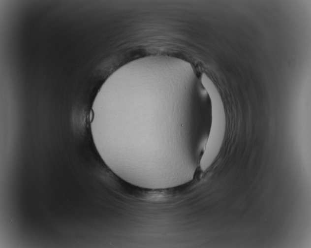 X0000087520574200705251642