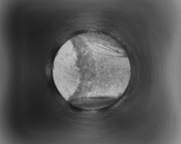 X0000087520576200705251642