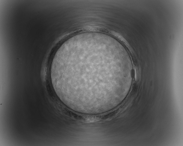 X0000087520579200705251641