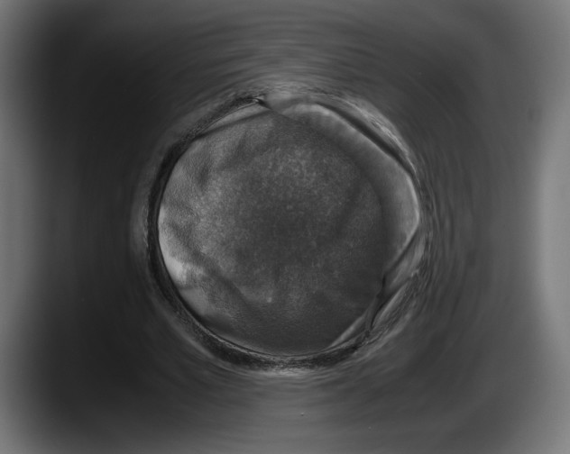 X0000087520581200705251641