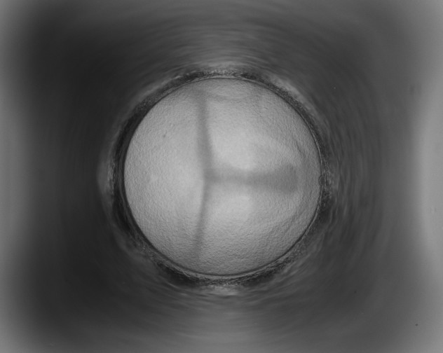 X0000087520583200705251641