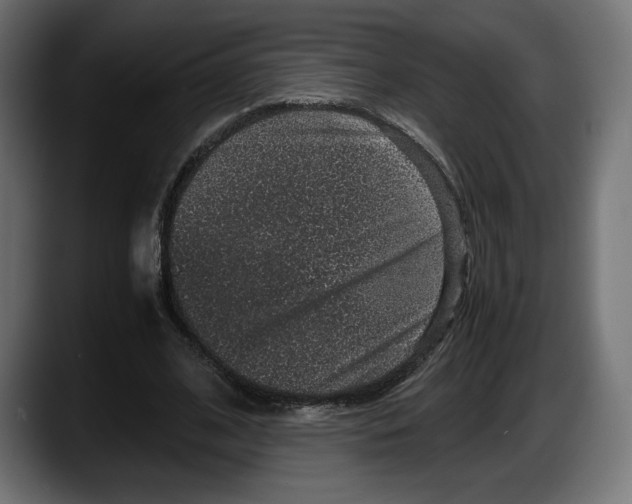 X0000087520584200705251641