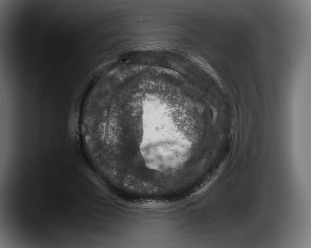 X0000087520585200705251641