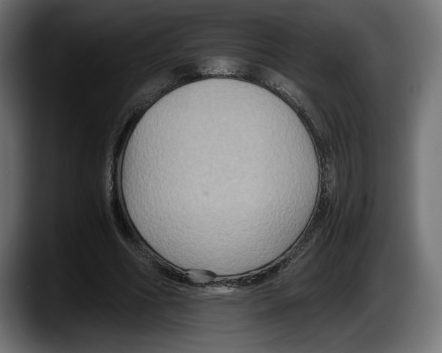 X0000087520586200705251641