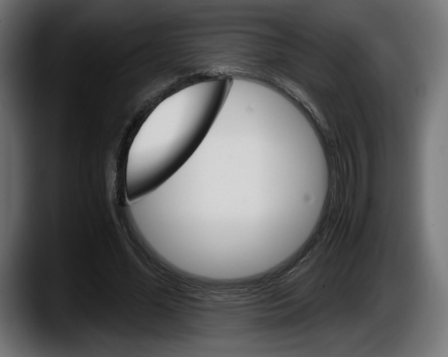 X0000087520588200705251641