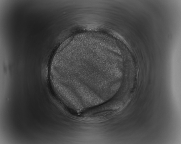 X0000087520589200705251641