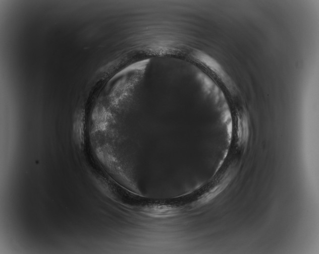 X0000087520590200705251641