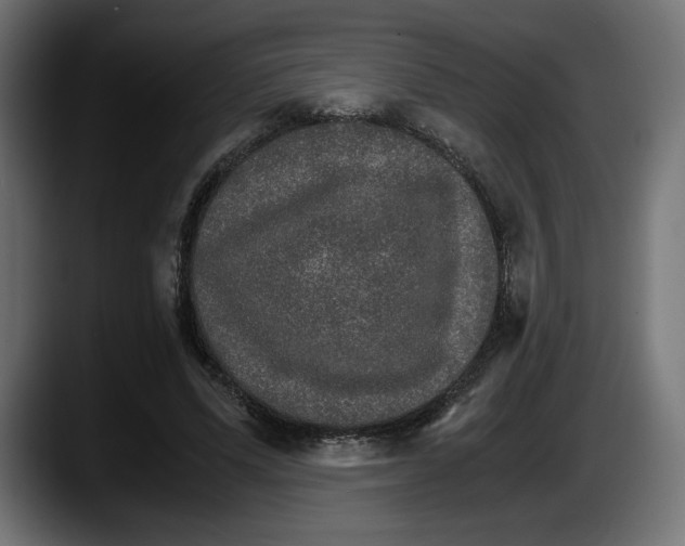 X0000087520591200705251641