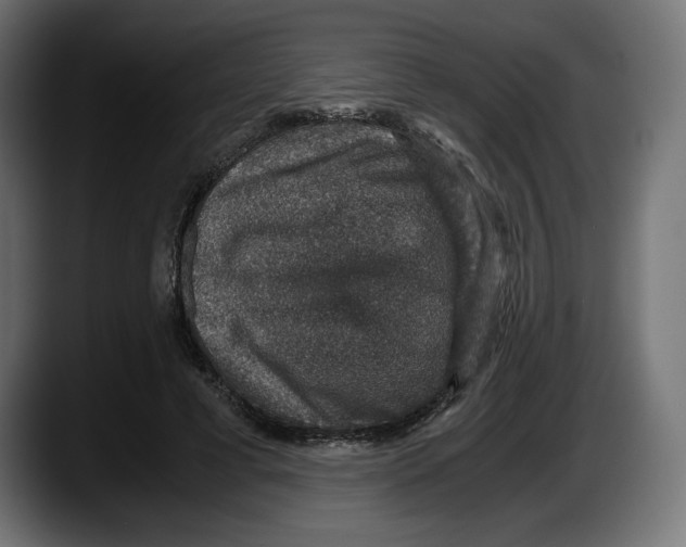 X0000087520593200705251641