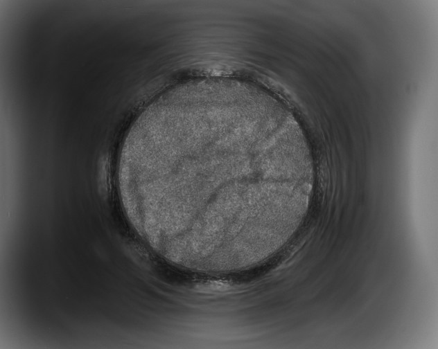 X0000087520594200705251641