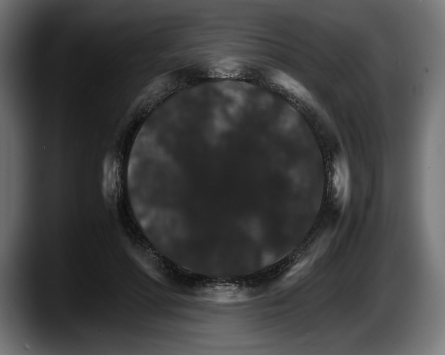 X0000087520598200705251641