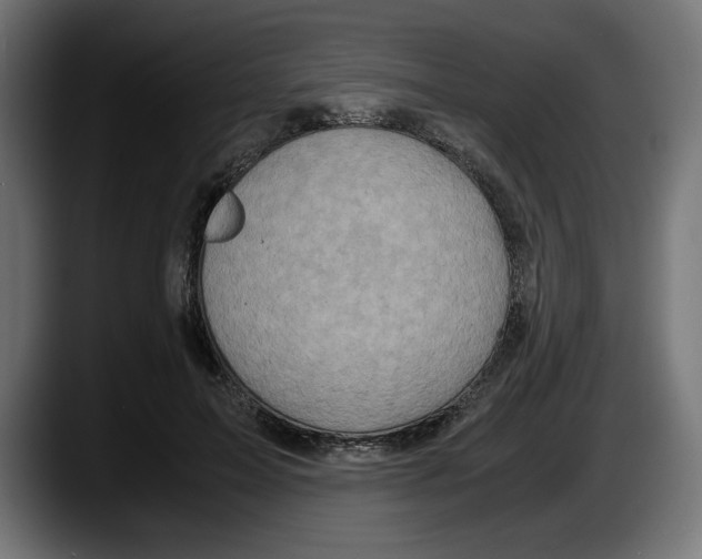 X0000087520599200705251641