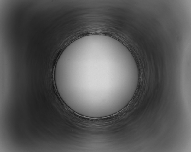 X0000087520600200705251641