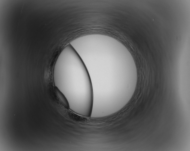 X0000087520601200705251641