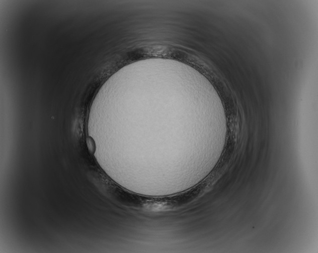 X0000087520602200705251641