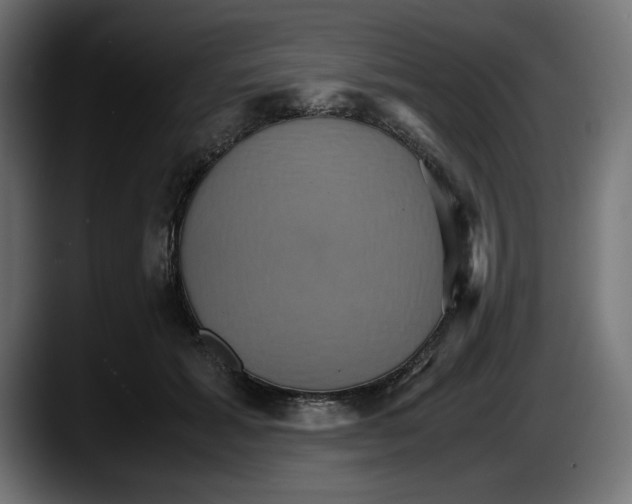 X0000087520605200705251641