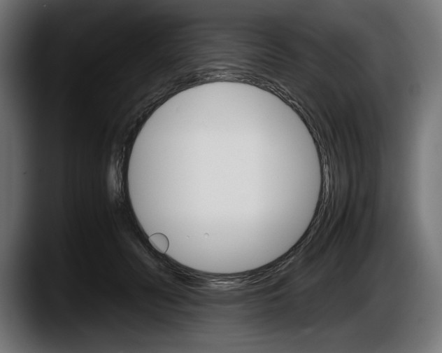 X0000087520606200705251641