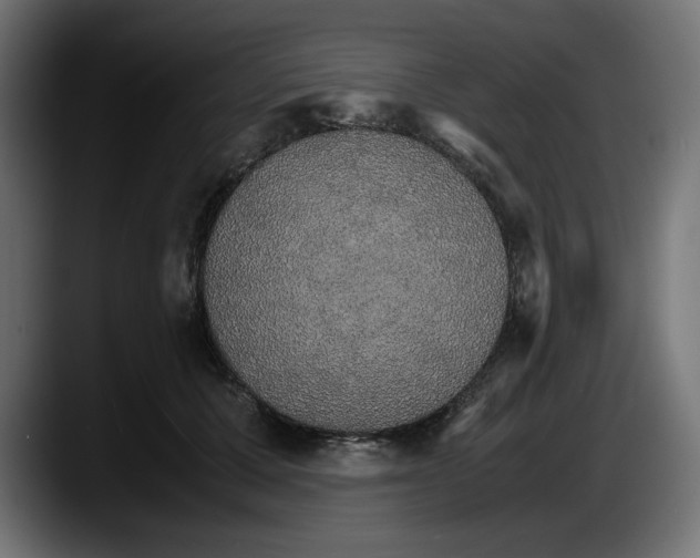 X0000087520607200705251641