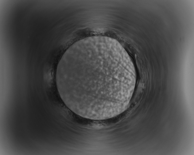 X0000087520608200705251641