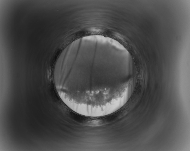 X0000087520610200705251641