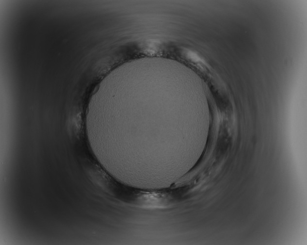 X0000087520611200705251641