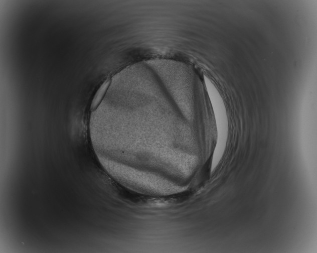 X0000087520613200705251640