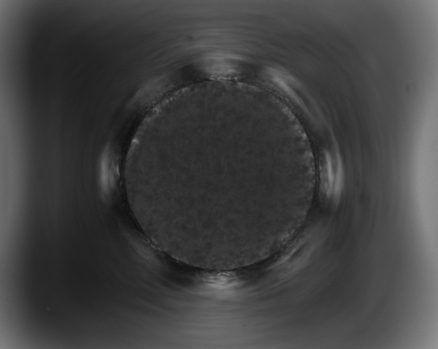 X0000087520618200705251640