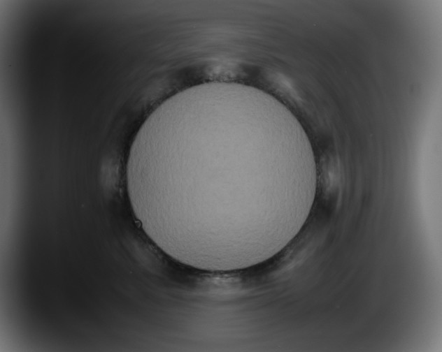 X0000087520619200705251640