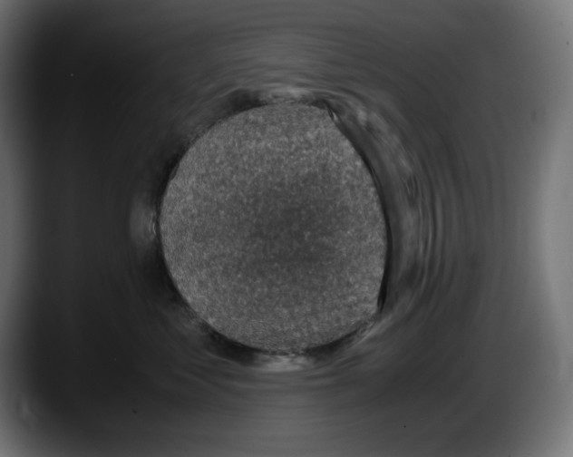 X0000087520621200705251640