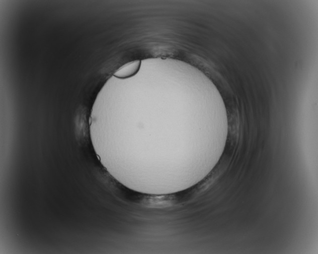 X0000087520622200705251640