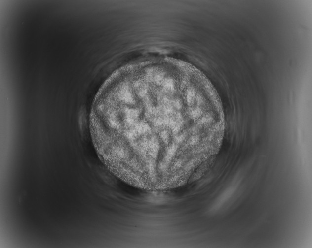 X0000087520623200705251640