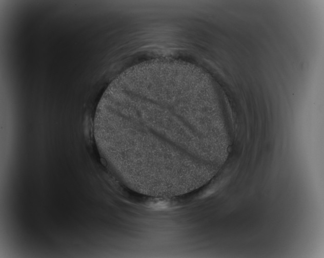 X0000087520624200705251640