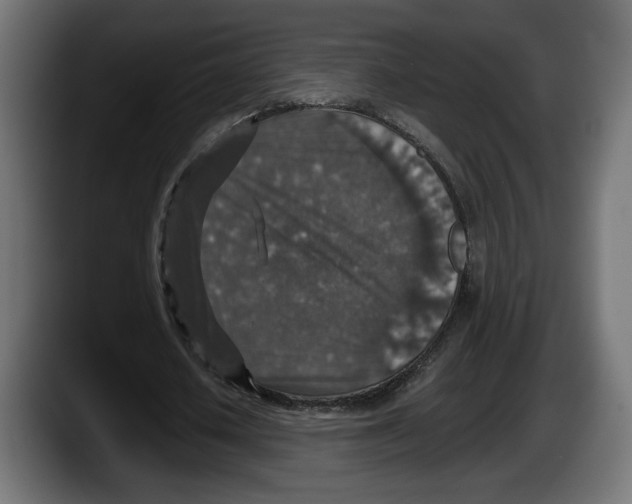 X0000087520626200705251640