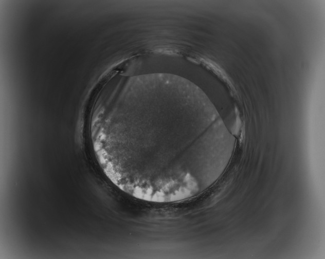 X0000087520627200705251640