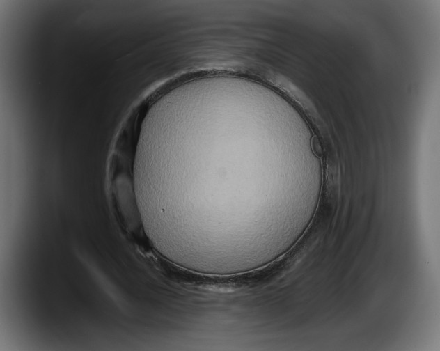 X0000087520628200705251640