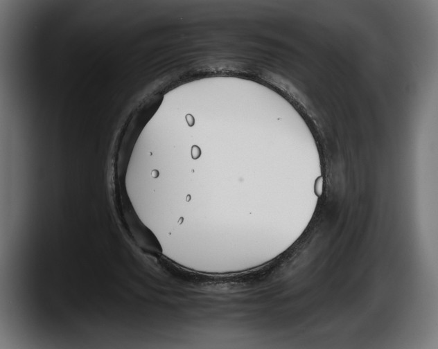 X0000087520629200705251640