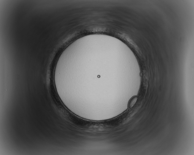 X0000087520631200705251640