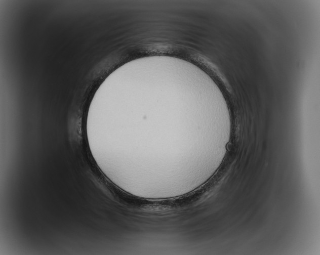 X0000087520633200705251640