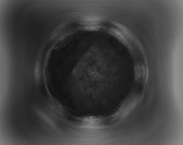 X0000087520634200705251640