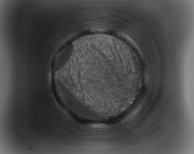 X0000087520637200705251640